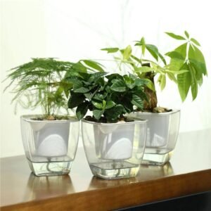 Self Watering Planter