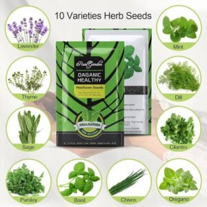 Herb Garden Starter Kit